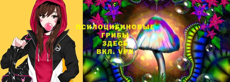 Псилоцибиновые грибы Magic Shrooms  даркнет сайт  Анива 